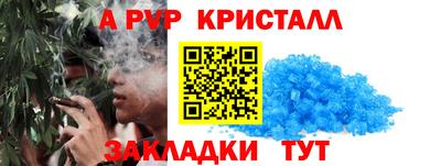 соль ск Бердск